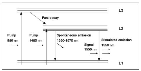 Spontaneous and simulated emission in an EDFA